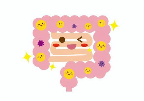 腸内環境|フィッツスポーツクラブ