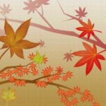 11月も終わり|フィッツスポーツクラブ